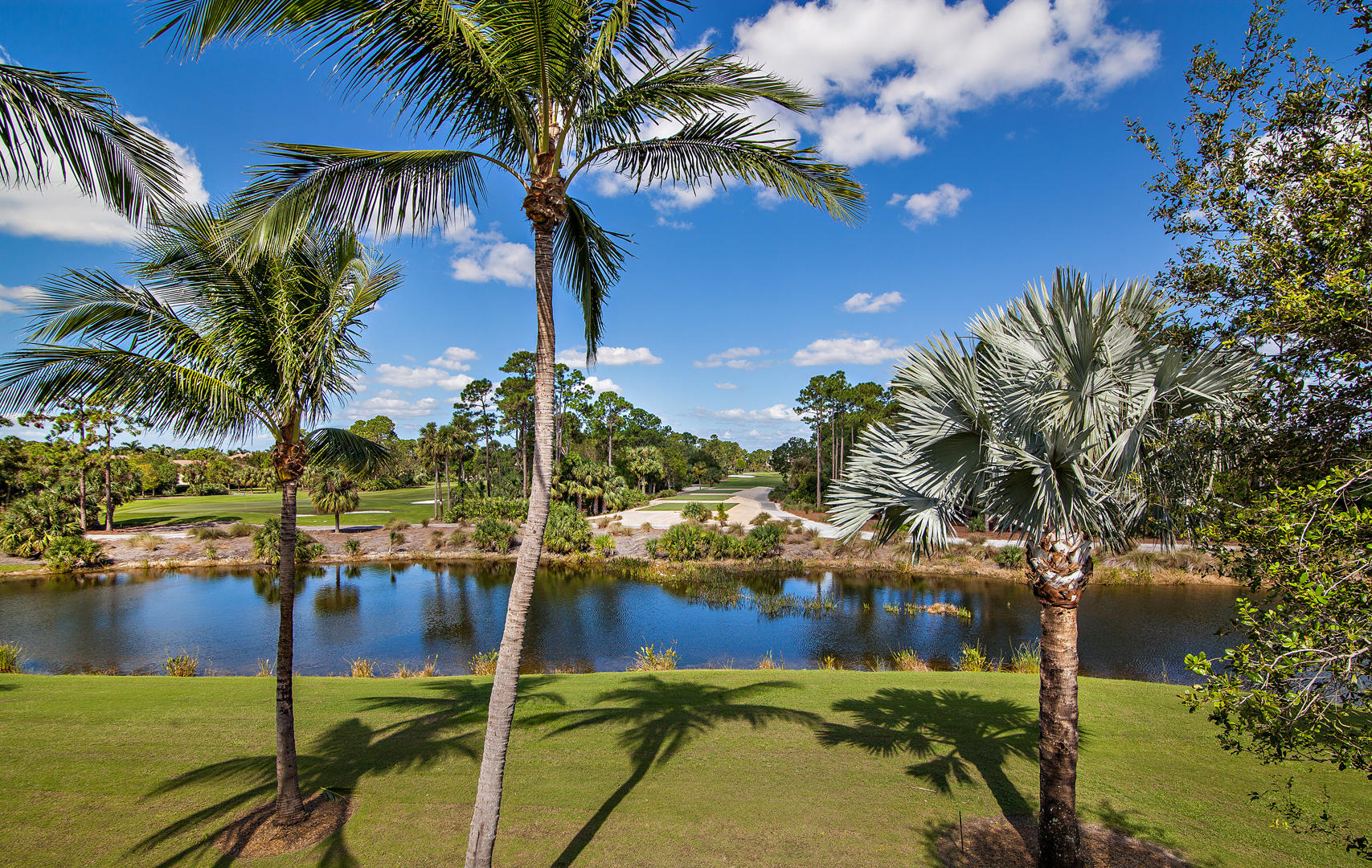 OLD PALM 3 - Residential