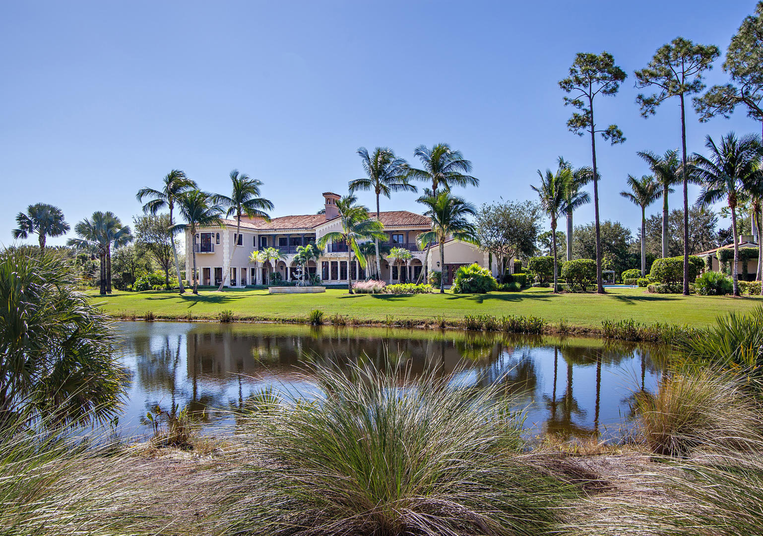 OLD PALM 3 - Residential