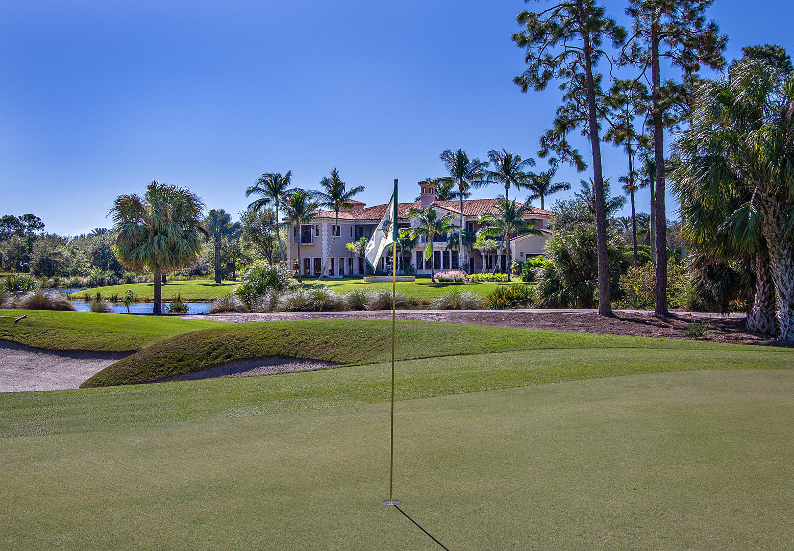 OLD PALM 3 - Residential