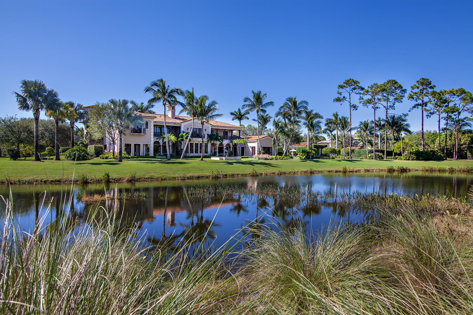 OLD PALM 3 - Residential