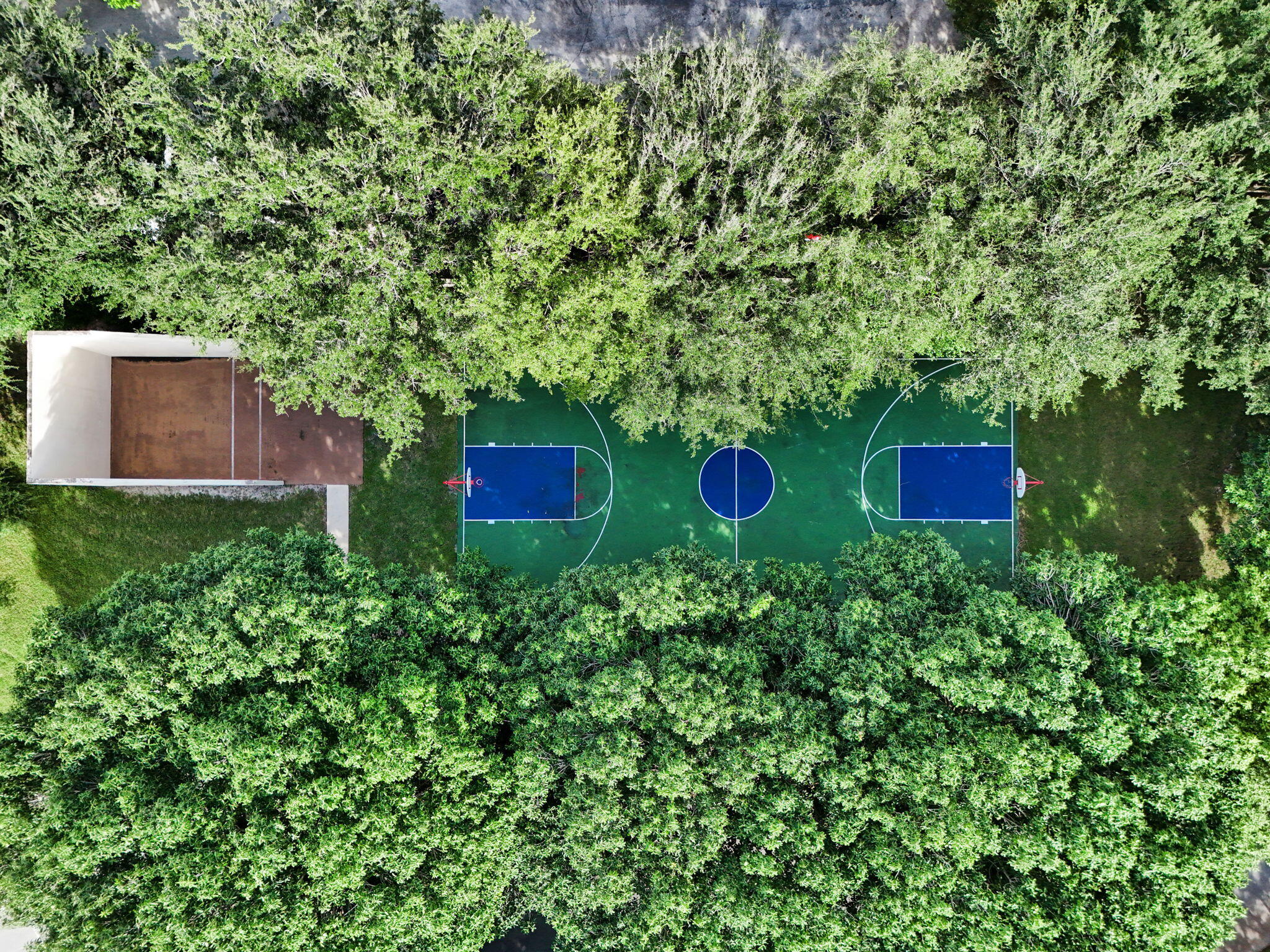 300 Palmwood Place P206