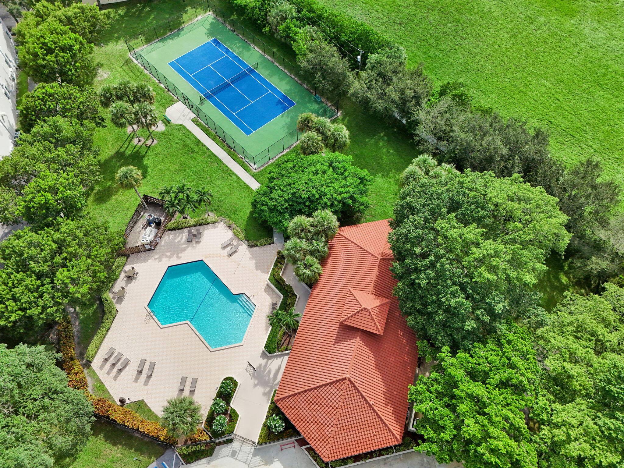 300 Palmwood Place P206