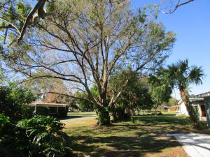 Orange Blossom Estates - Residential