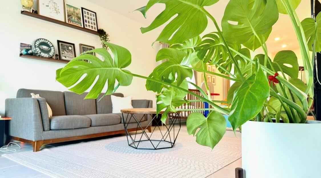 TILLMAN LAKES -CHAPARRAL - Residential