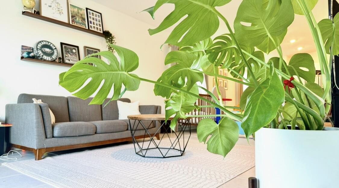 TILLMAN LAKES -CHAPARRAL P.U.D PHASE THREE B - Residential