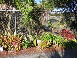 Century Village - Residential