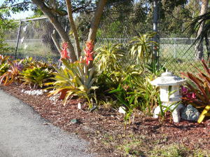 Century Village - Residential