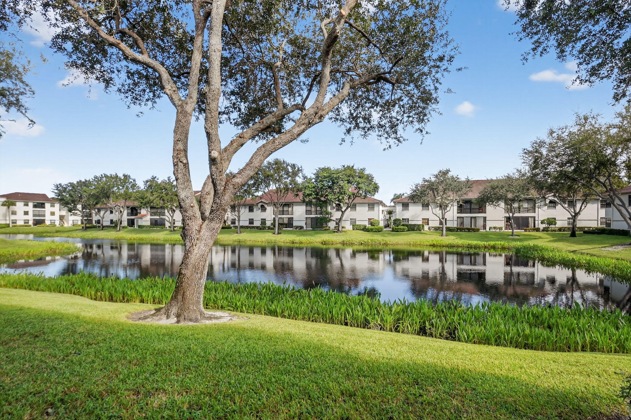 ILLUSTRE VILLAGE CONDO - Residential