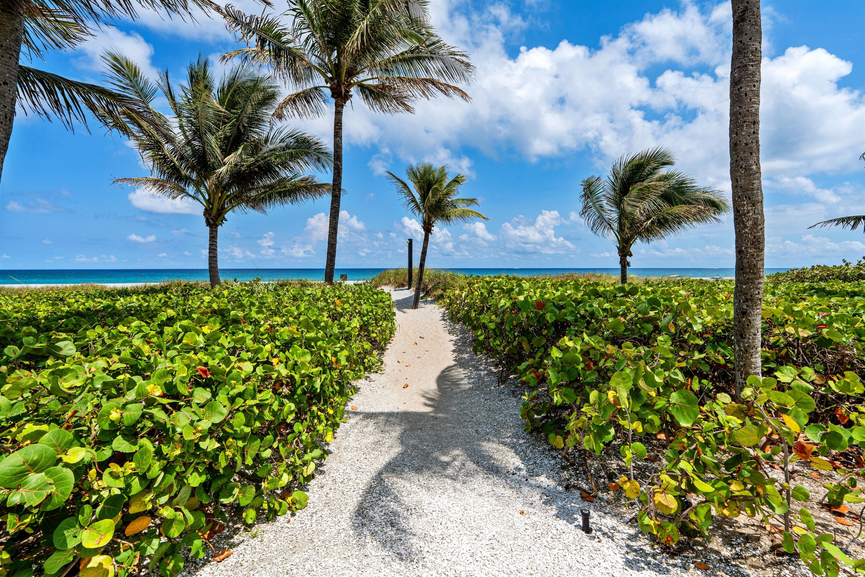 OCEAN DELRAY CONDO - Residential