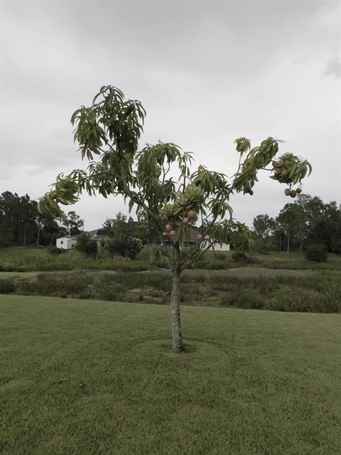 A home in Port Saint Lucie