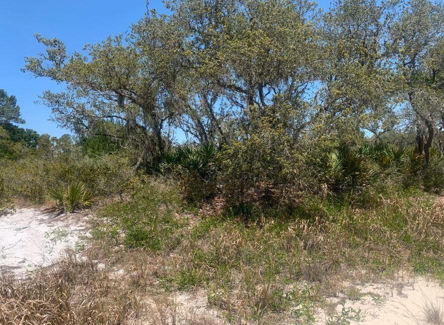 Discover this private Avon Park, FL building lot. Owner financing with $1k down. No HOA.