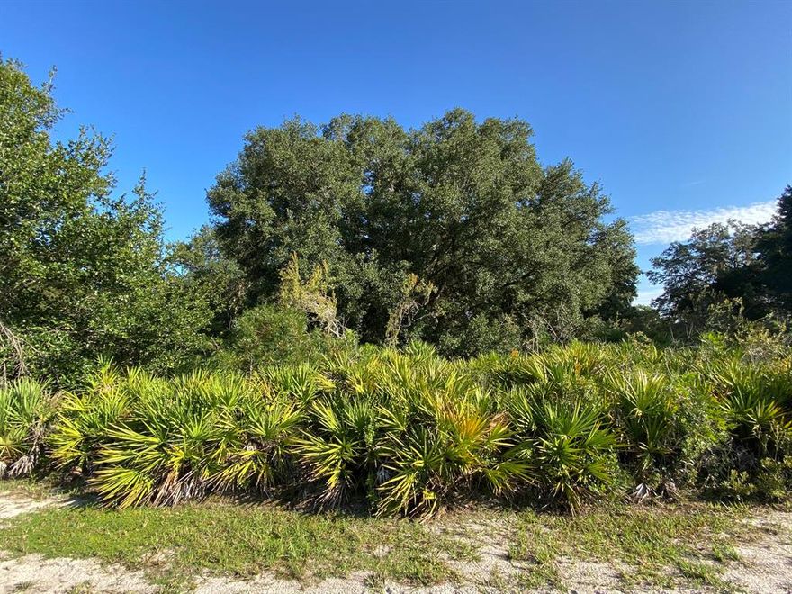 Build your new home on this private quiet high and dry half acre lot in the Indian Lake Estates known for golfing, fishing, boating and considered to be one of the best bass fishing lakes in all Florida. There is a beach, boat ramp, marina, pavilion, and the longest freshwater fishing pier in the State. The pavilion has propane grills and covered picnic tables. They also have  basketball, tennis courts, clubhouse, post office, churches, library, fitness room, and pro shop. there is so much to do and see like  deer, raccoon, turkey, turtles, cranes, and various species of birds   centrally located only 1 hour from either Orlando or Tampa. Owner financing available