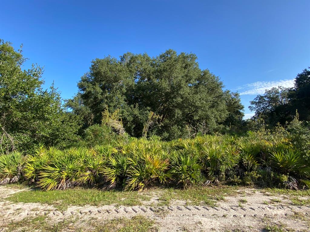 INDIAN LAKE ESTATES UNIT 03 - Land