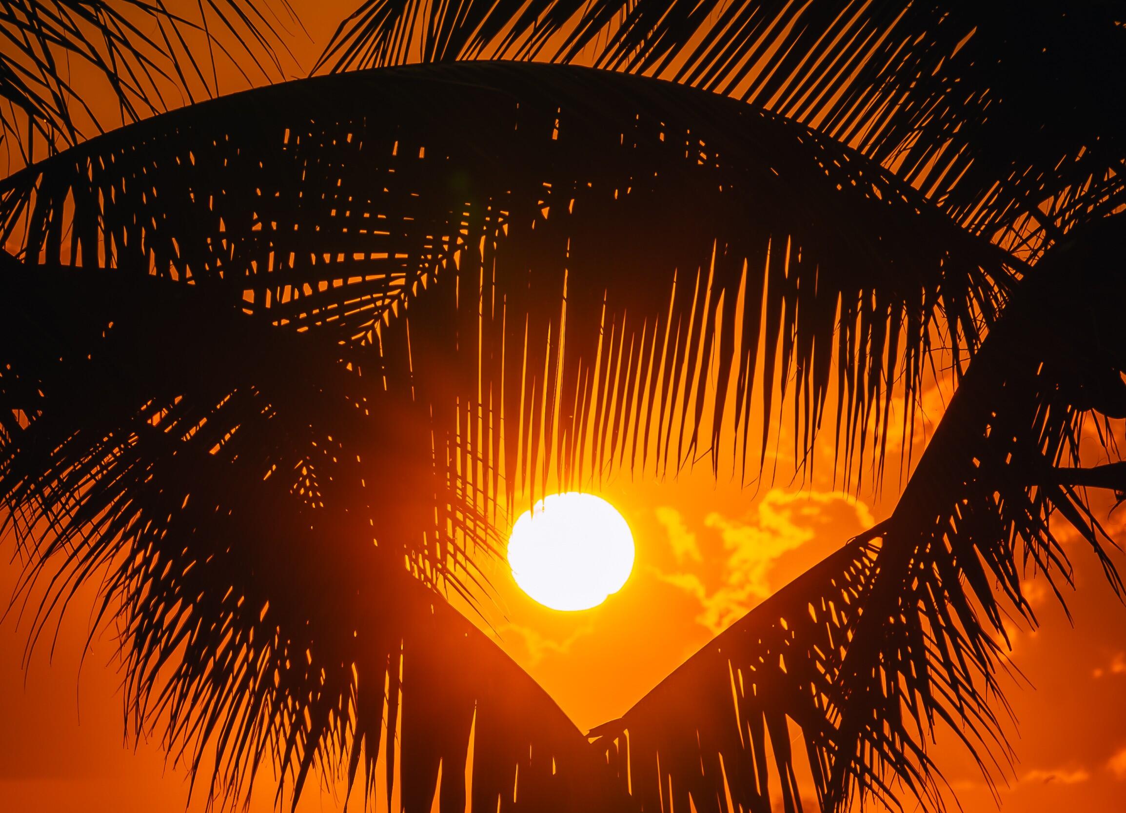 Cypress Island - Residential