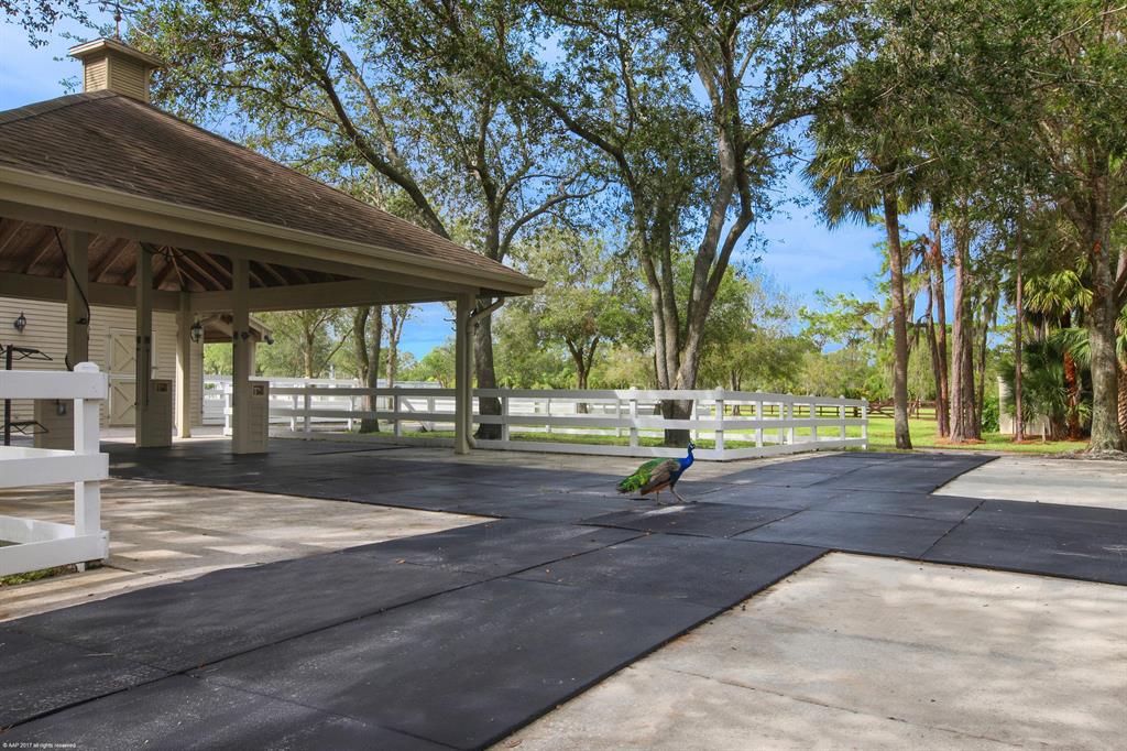 PALM CITY FARMS - Residential