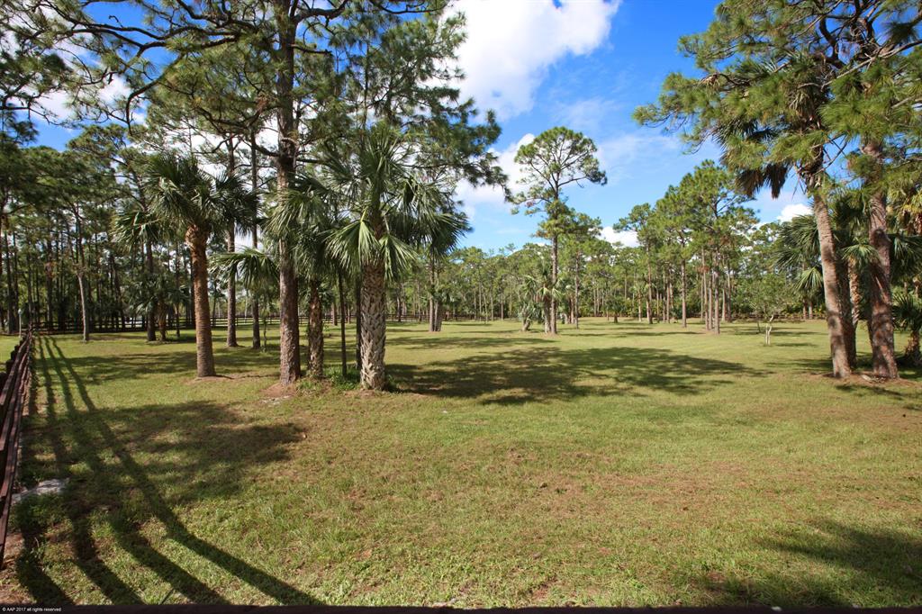 PALM CITY FARMS - Residential