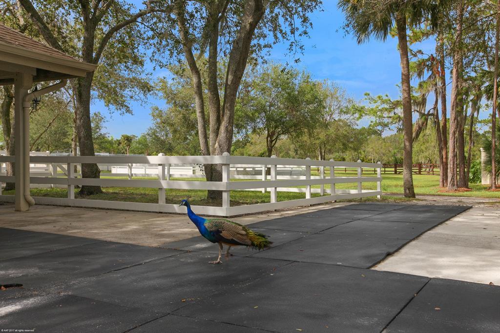 PALM CITY FARMS - Residential