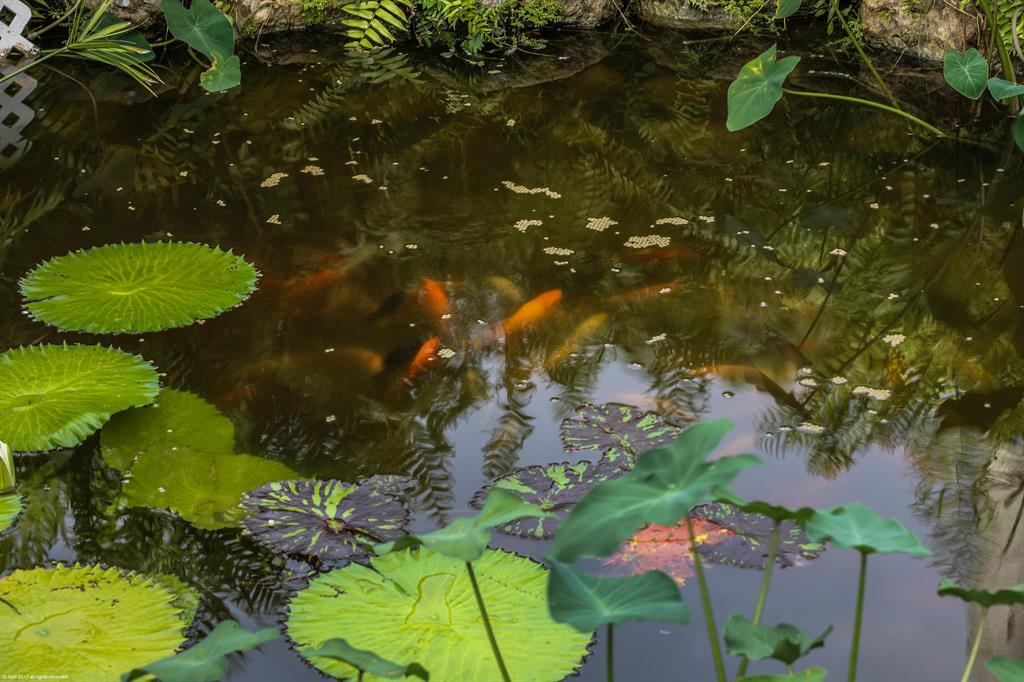 PALM CITY FARMS - Residential