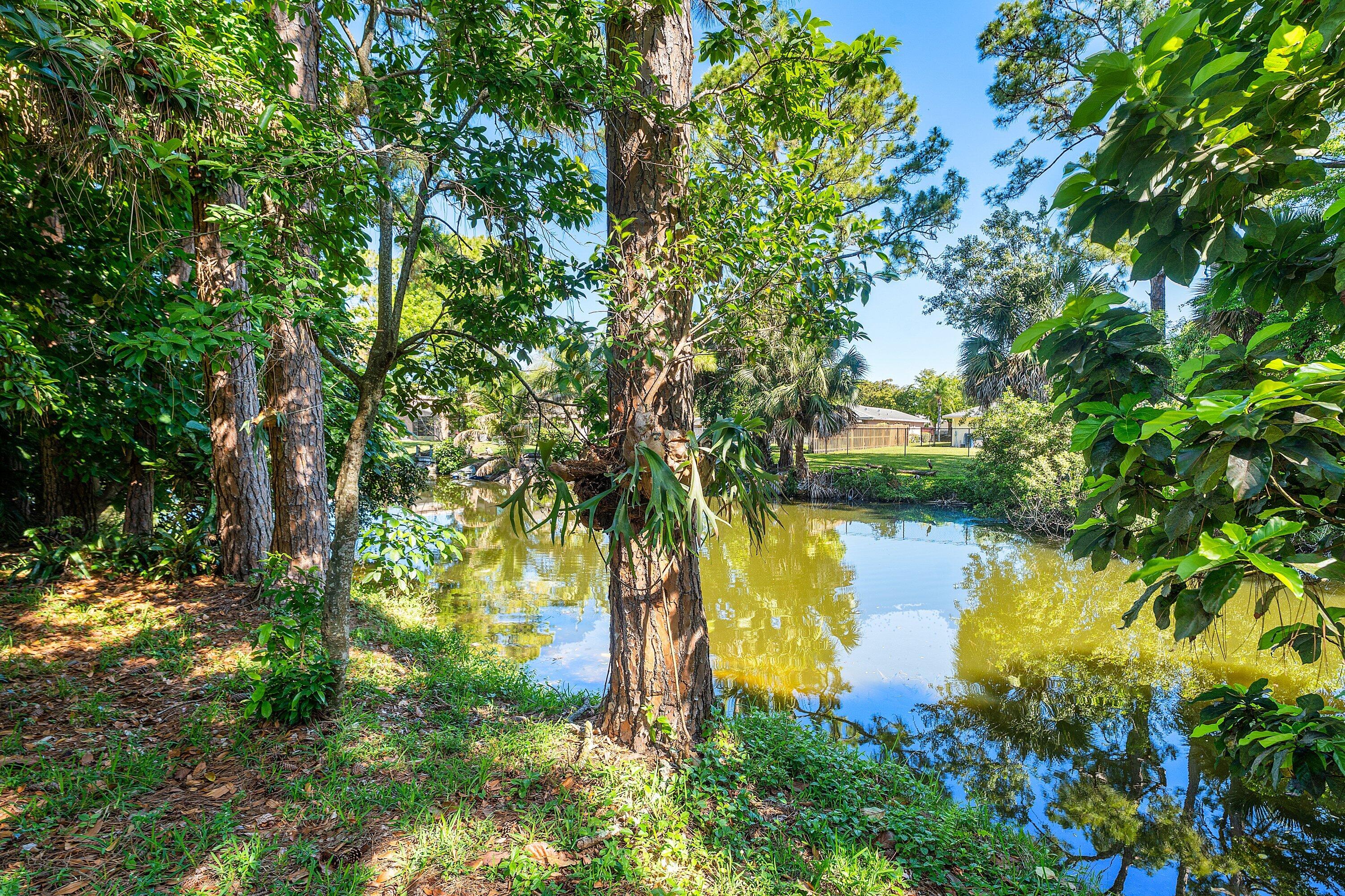 WILLOWS - Residential