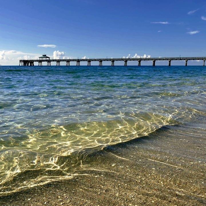 Harwood H - Residential