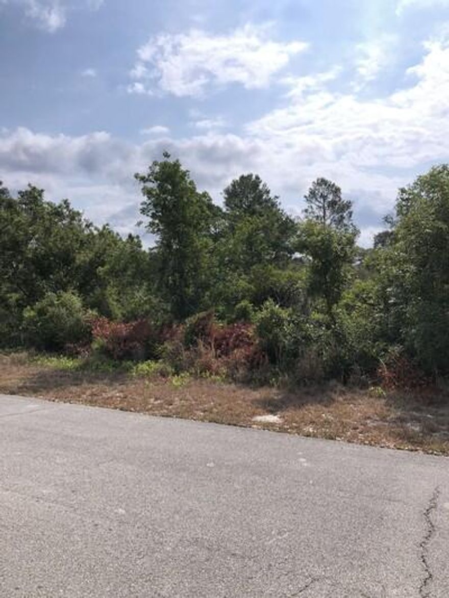 Build your dream home, vacation retreat, or investment property on this peaceful ¼-acre lot in the serene Sylvan Shores community of Lake Placid, FL. Enjoy the quiet of country living while being just minutes from shopping, dining, and medical care. Explore local favorites like the Farmer's Market and Journal Plaza's restaurants and shops. With nearby fishing, golfing, camping, and hunting, there's something for everyone. Experience the perfect blend of tranquility and convenience in the Caladium Capital of the World!