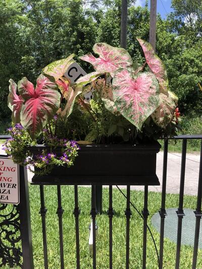 SYLVAN SHORES EST SEC B - Land