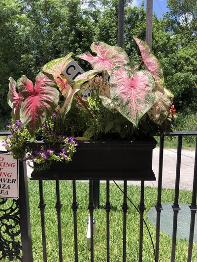 SYLVAN SHORES EST SEC B - Land