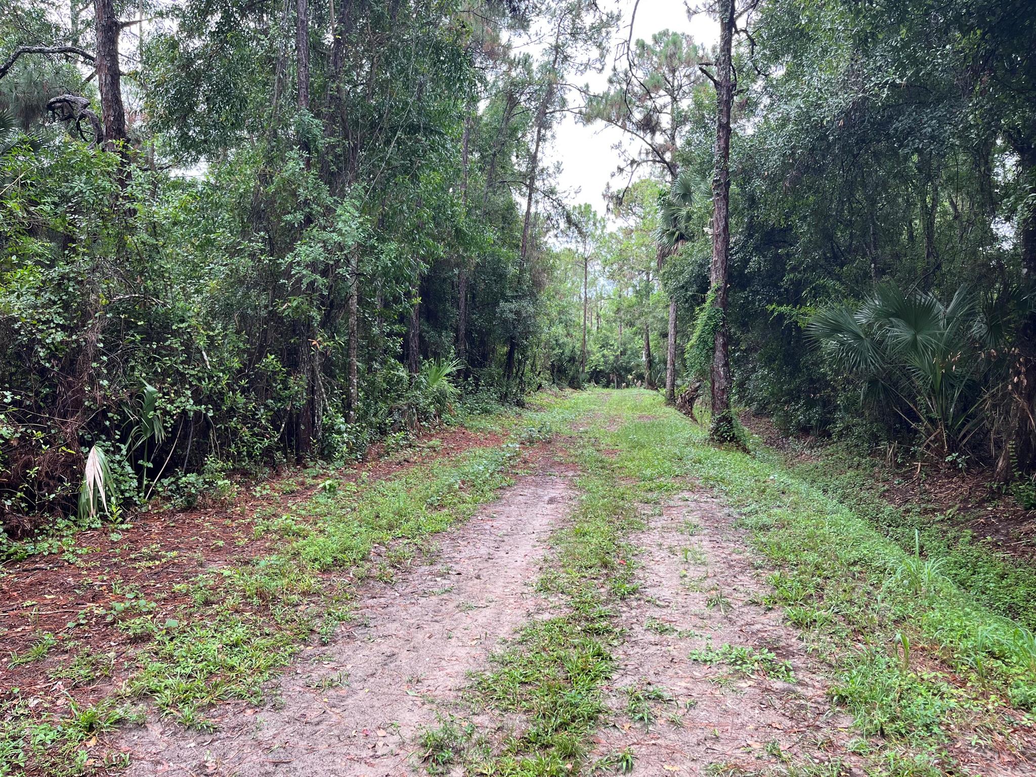 Tbd 175th Road N