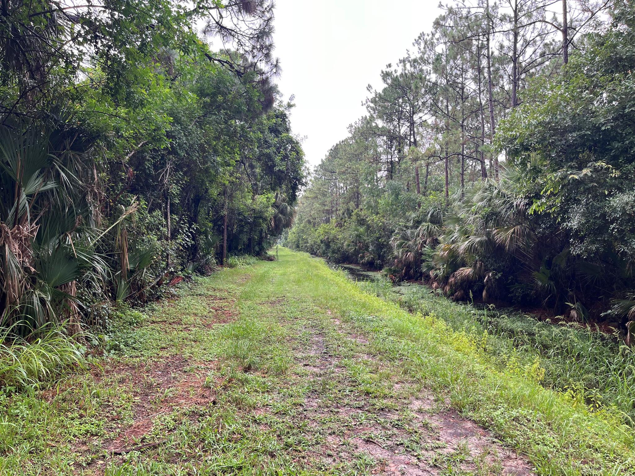 Tbd 175th Road N