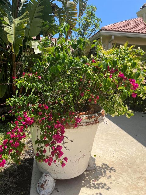 A home in Hobe Sound