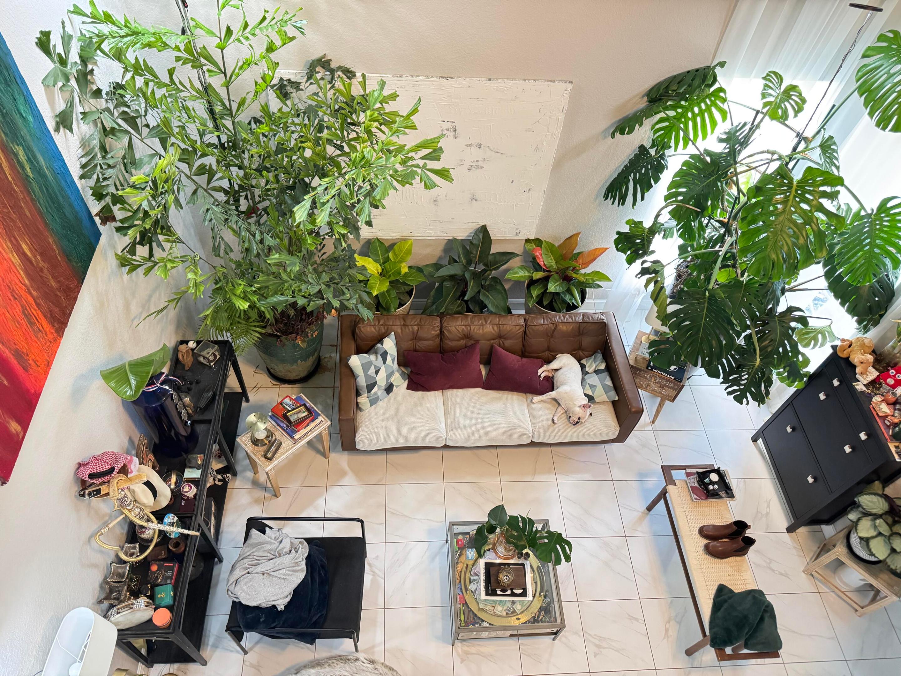 VIZCAYA FALLS PLAT 2 - Residential