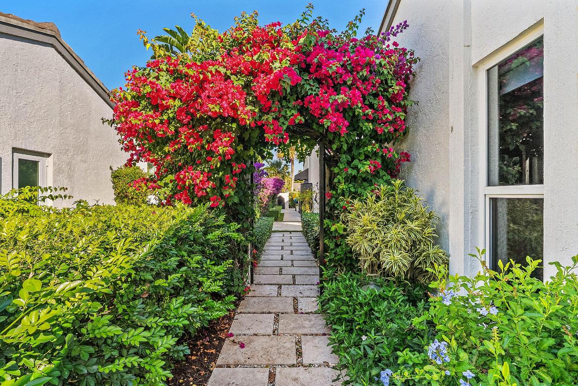 PELICAN COVE PLAT OF - Residential