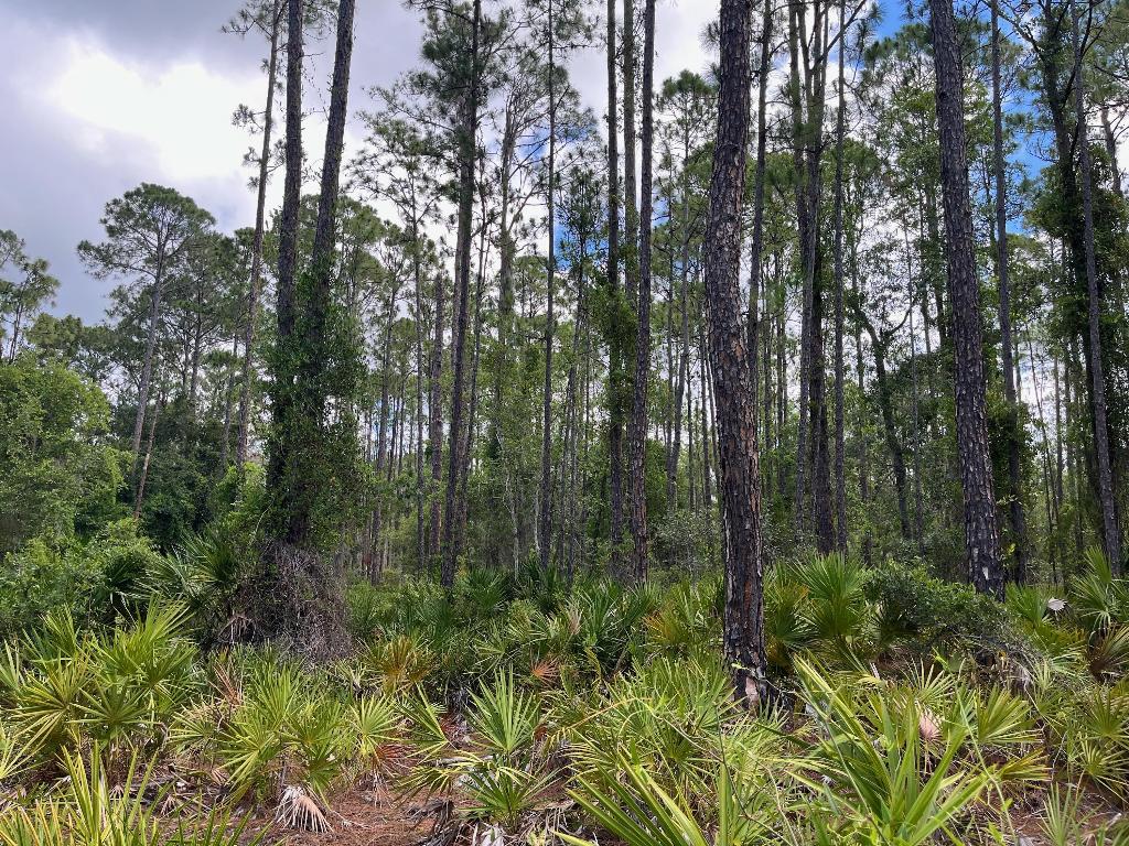 PARADISE LAKES SUB - Land