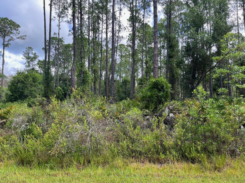 PARADISE LAKES SUB - Land