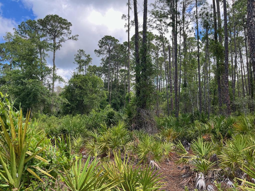 PARADISE LAKES SUB - Land