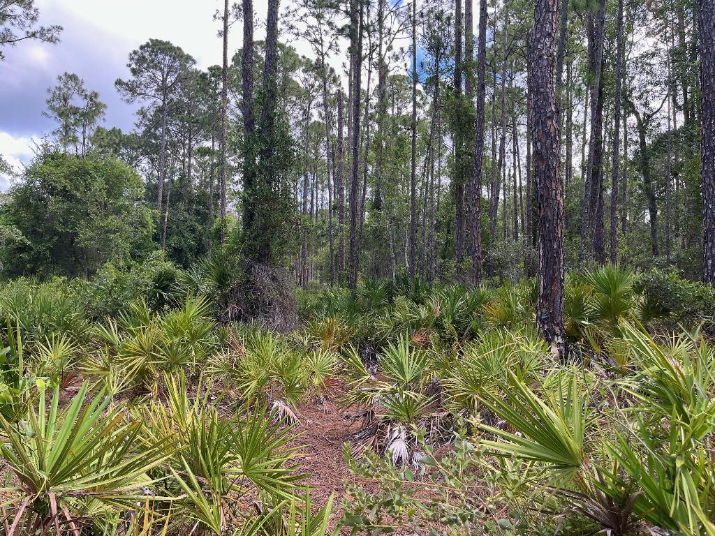 PARADISE LAKES SUB - Land