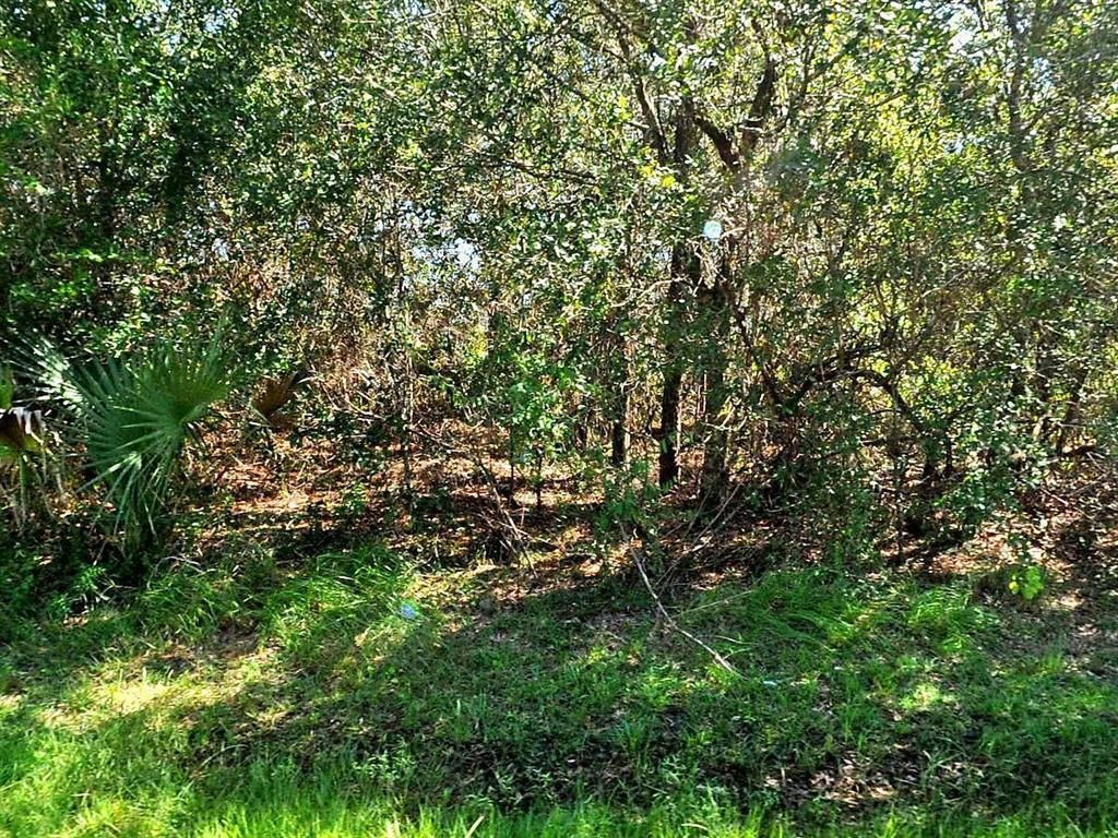 Photo of 1771 SW Cochran Street, Port Saint Lucie, FL 34953 (MLS # R10708244)