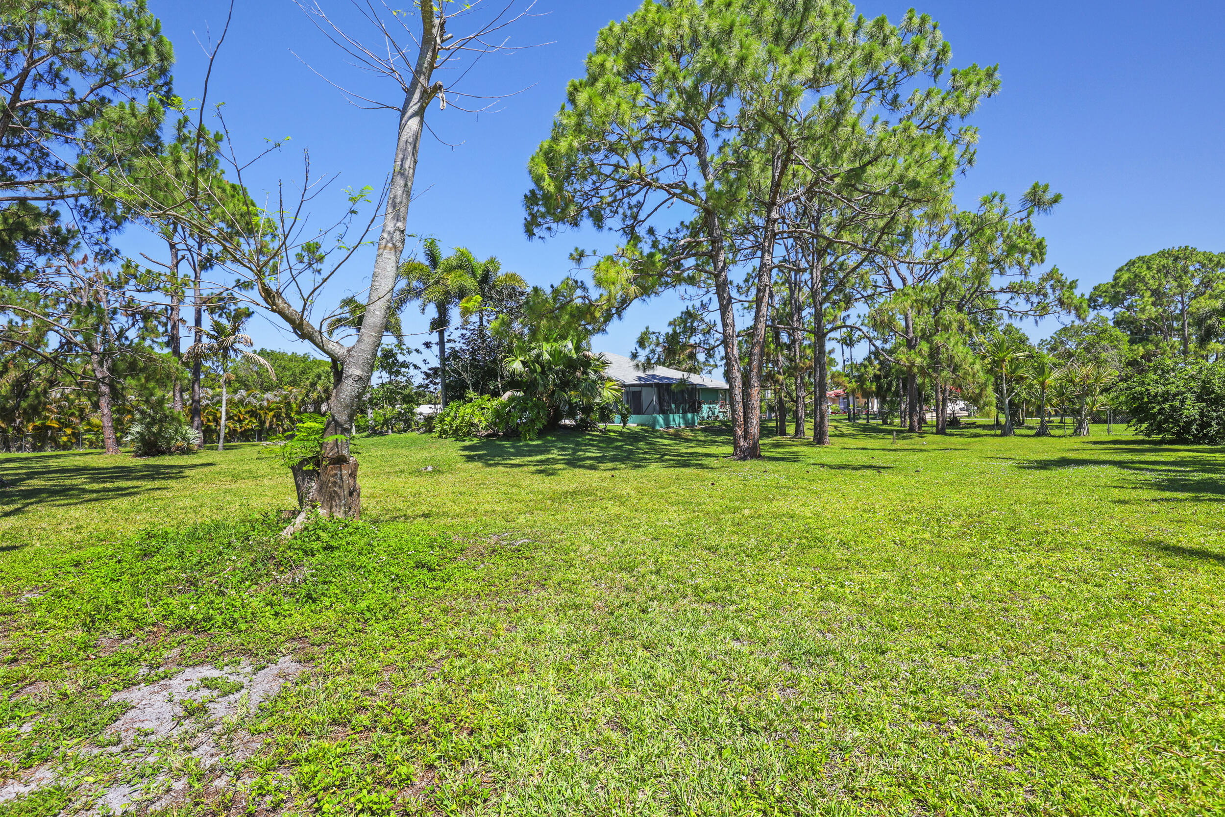 The Acreage - Residential