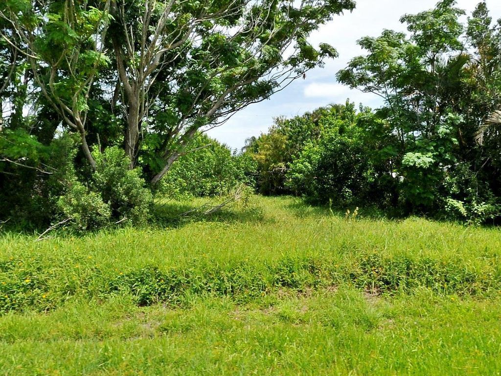 Photo of 437 SE Skipper Lane, Port St Lucie, FL 34983 (MLS # R10940796)