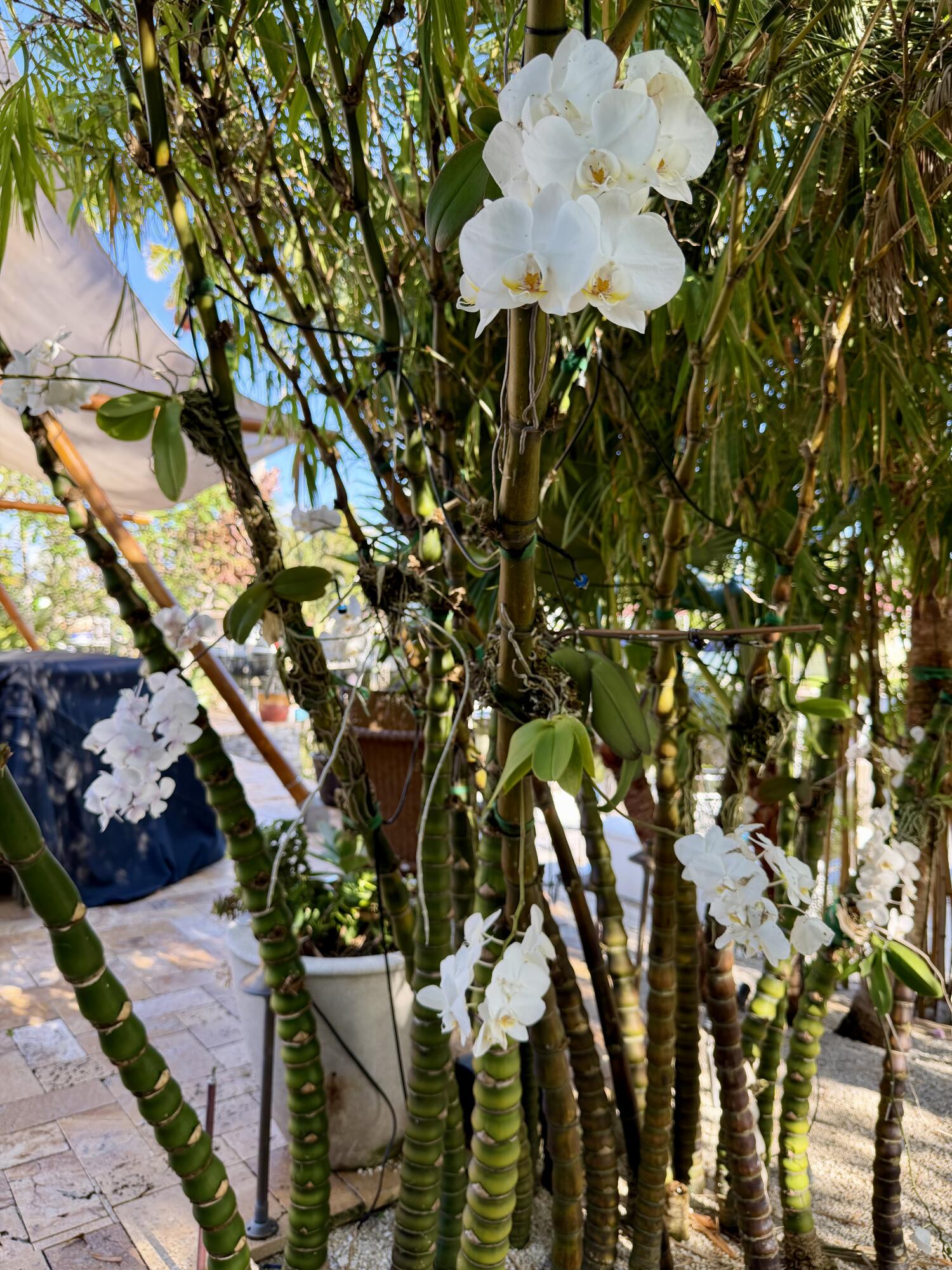 BOCA KEYS - Residential