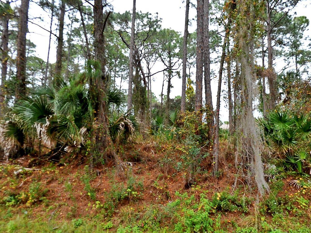 PORT CHARLOTTE SUB 18 - Land