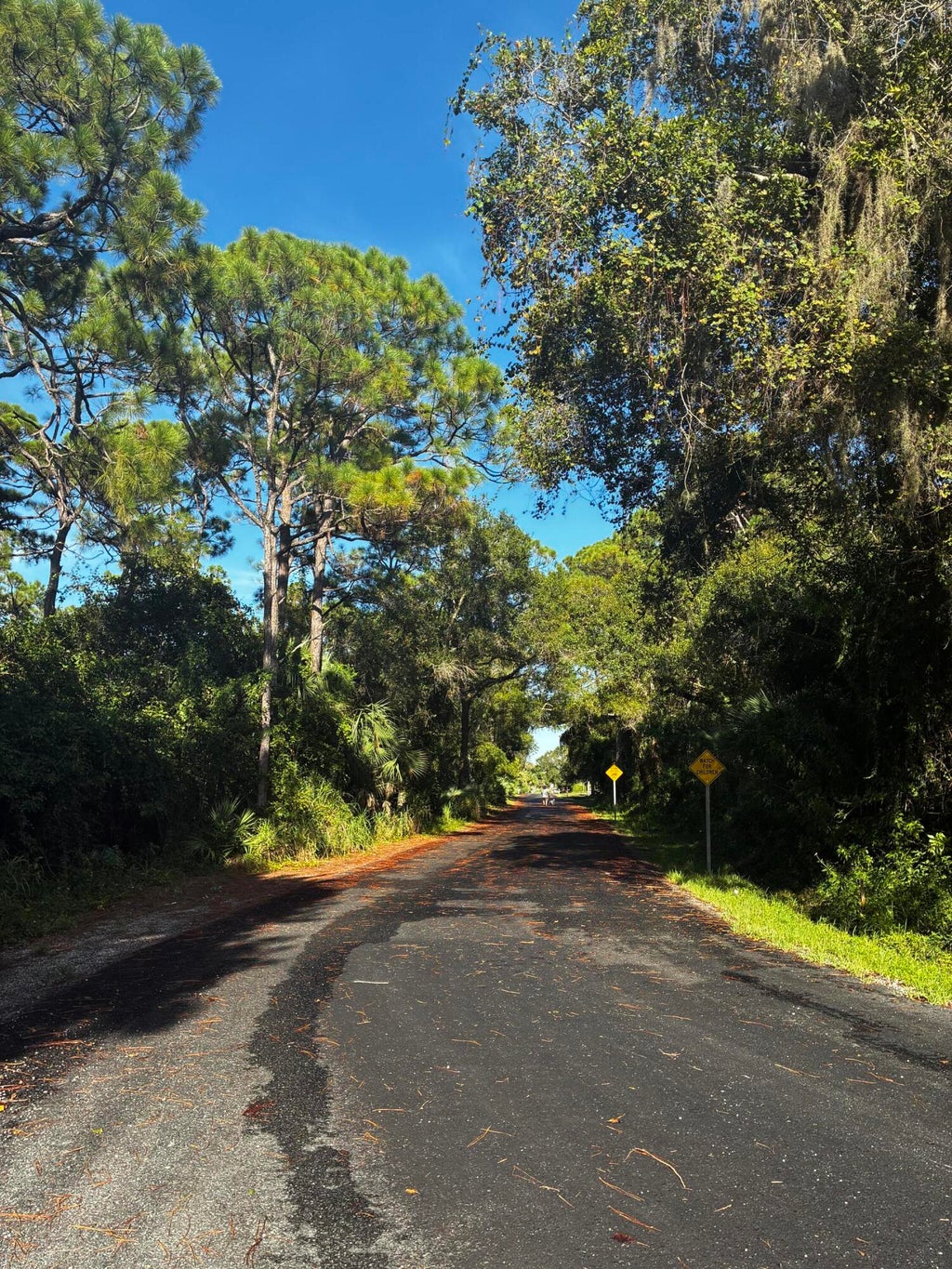 Photo of Tbd Notlem Drive, Fort Pierce, FL 34982 (MLS # R11168452)