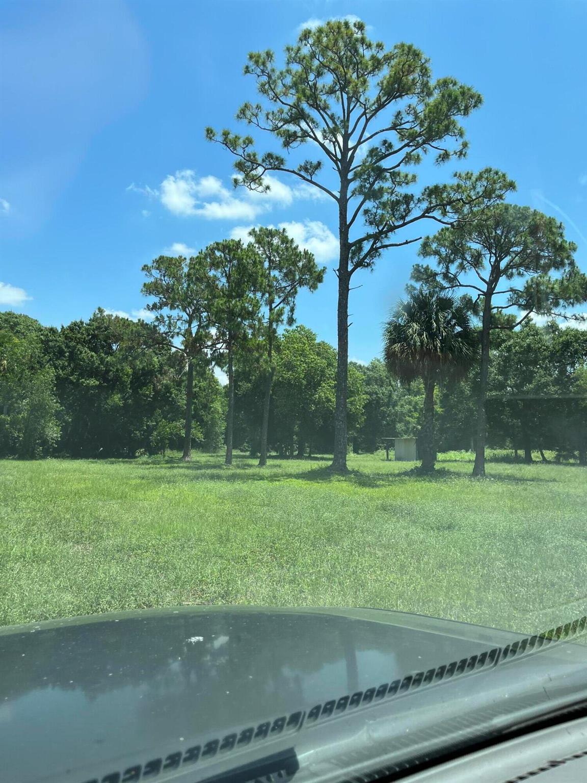 DRASTIC REDUCTION TO $485,000 CASH - CLOSE ON OR BEFORE JULY 27TH - .Just reduced - Must see - Gorgeous 5 acre parcel - very private with beautiful long private easement driveway as entrance - large oak trees - pond with fish - honey bees on property - gorgeous setting - building pad for home, electric and well on property, a must see.