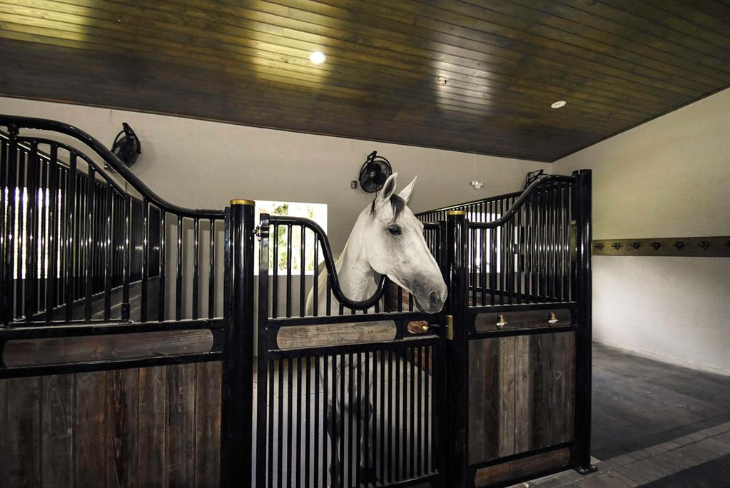 Rustic Ranches - Residential