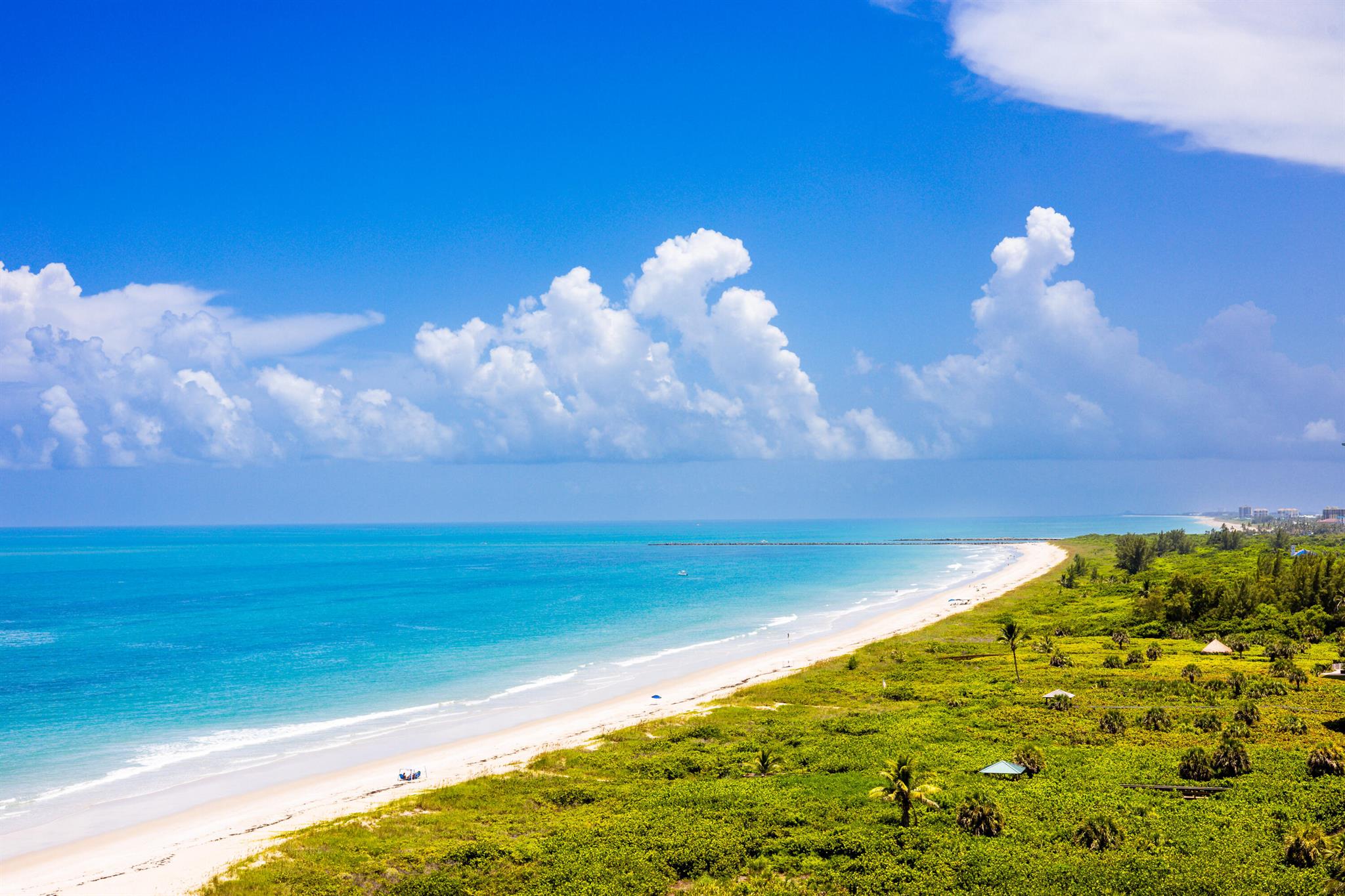 3100 N Highway A1a Ph C3