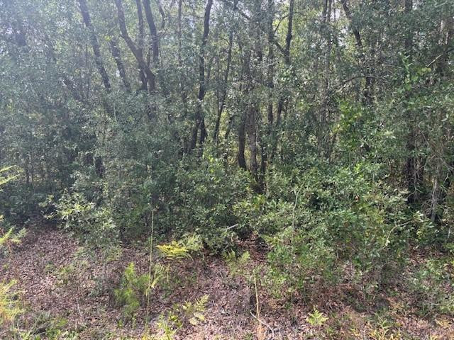 Trout Lake Estates - Land