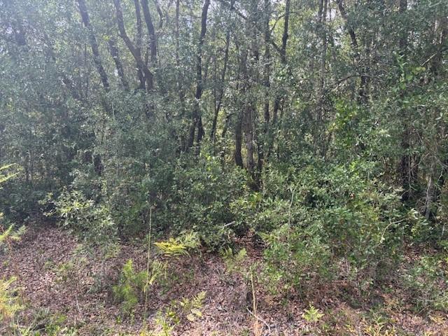 Trout Lake Estates - Land