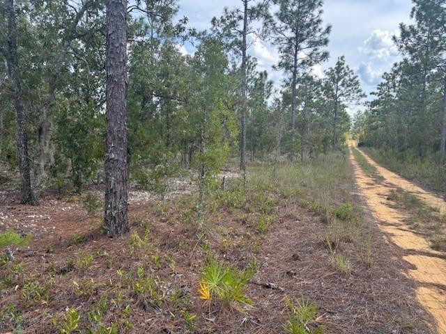 Trout Lake Estates - Land