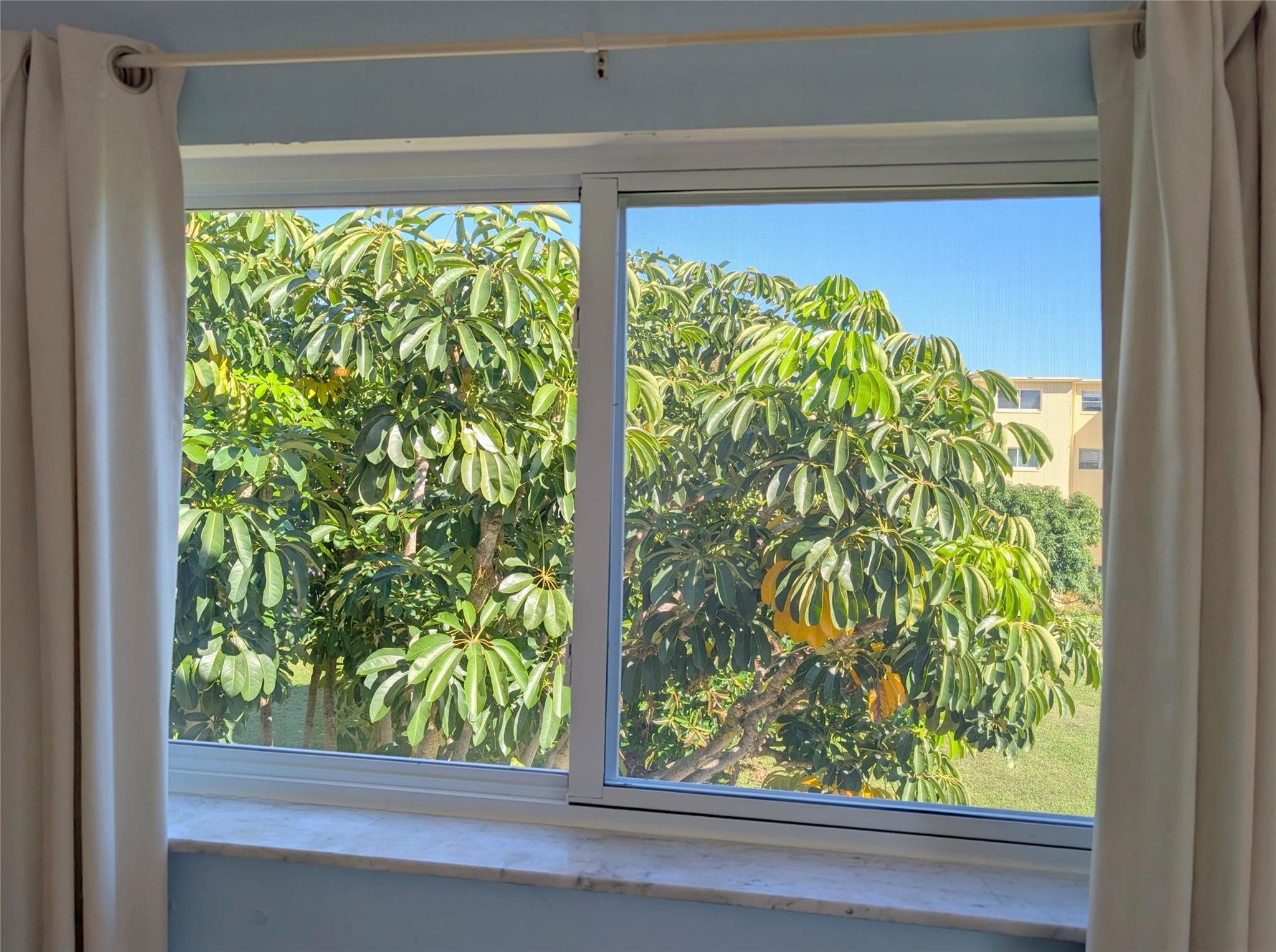 VILLAGE ROYALE FOREST GREEN - Residential