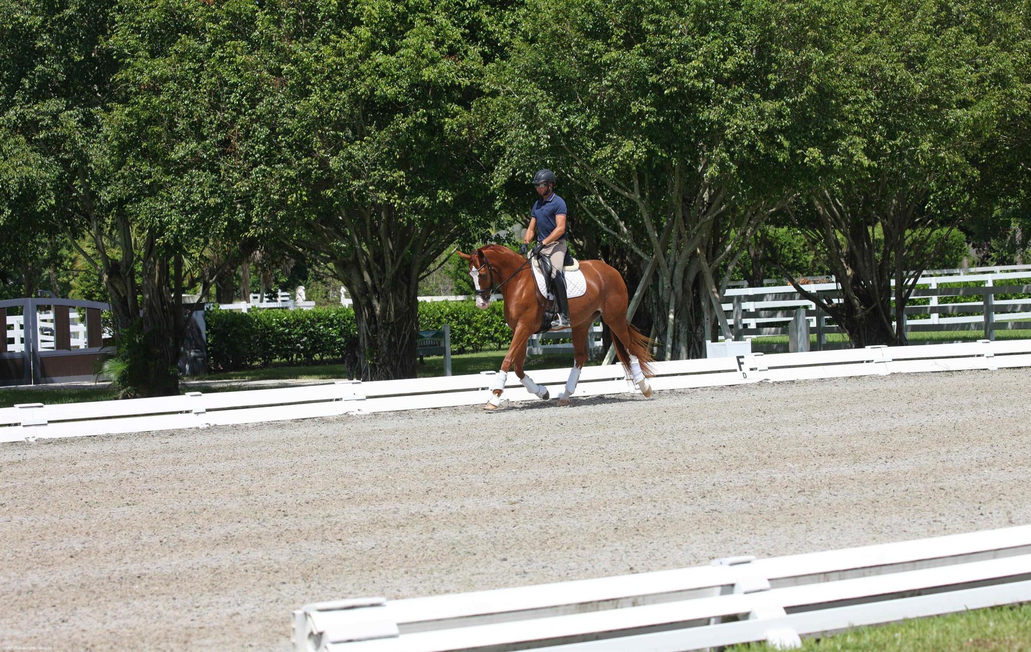 DEER RUN 2 - Residential